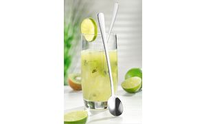 Esmeyer - Soeplepels - Set van 12 - Lengte 19,9 cm