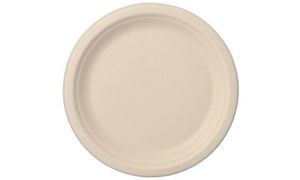 PAPSTAR bord van suikerriet 'pure', rond, 230 mm, 50 stuks