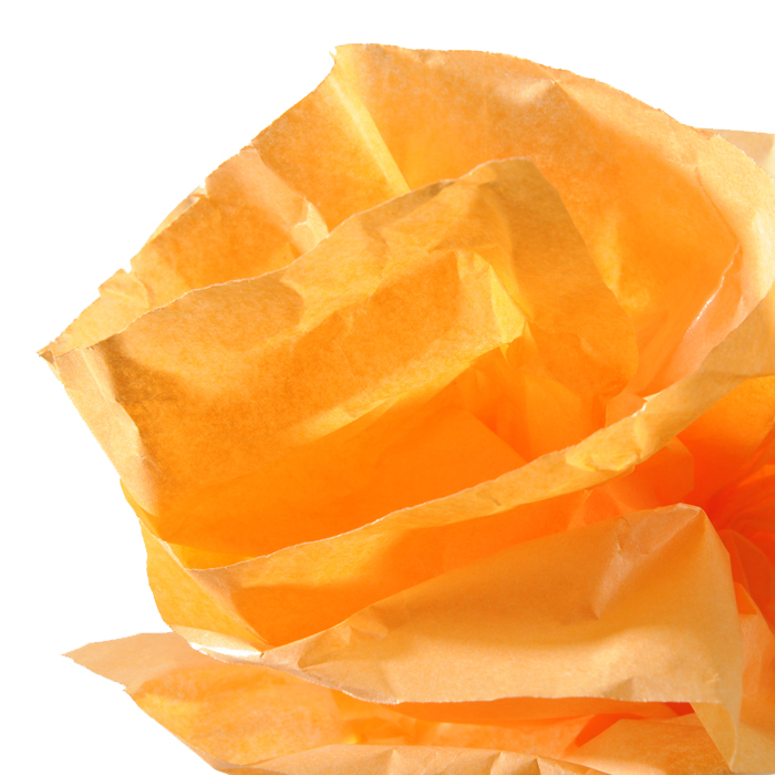 CANSON vloeipapier op rol, 0,5 x 5,0 m, 20 g/m², oranje CANSON vloeipapier op rol, 0,5 x 5,0 m, 20 g/m², oranje