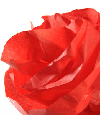 Canson - Zijdevloeipapier - 0,5x5m - 20g/m2 - Klaproosrood