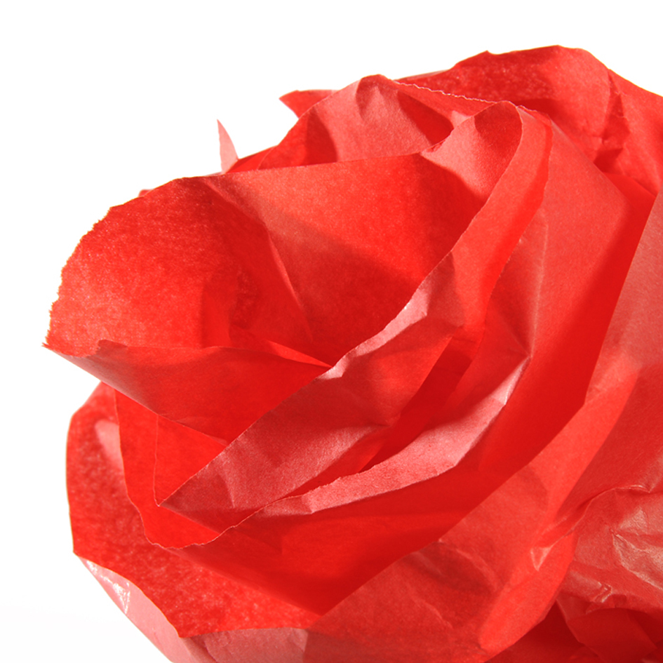 Canson - Zijdevloeipapier - 0,5x5m - 20g/m2 - Klaproosrood Canson - Zijdevloeipapier - 0,5x5m - 20g/m2 - Klaproosrood