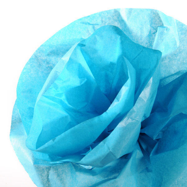 CANSON vloeipapier op rol, 0,5 x 5,0 m, 20 g/m², turkoois