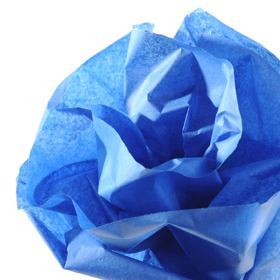 Canson - Zijdepapier - 0,5x5 m - 20 g/m² - Lichtblauw Canson - Zijdepapier - 0,5x5 m - 20 g/m² - Lichtblauw