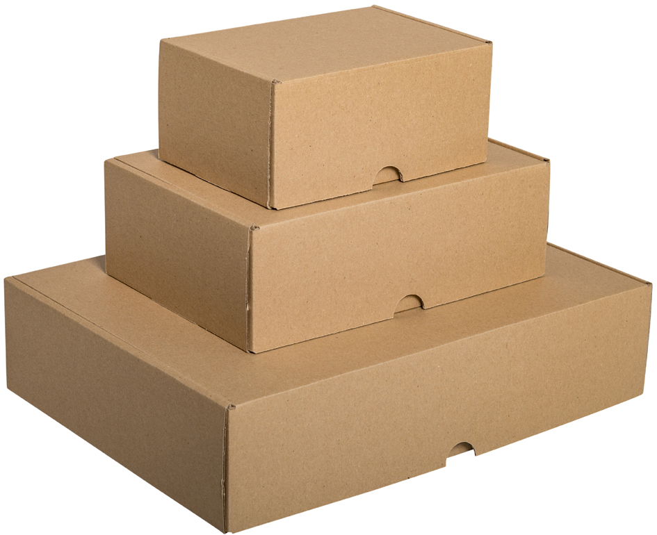 SMARTBOXPRO Maxibrief kartonnen doos, 241 x 160 x 80 mm SMARTBOXPRO Maxibrief kartonnen doos, 241 x 160 x 80 mm