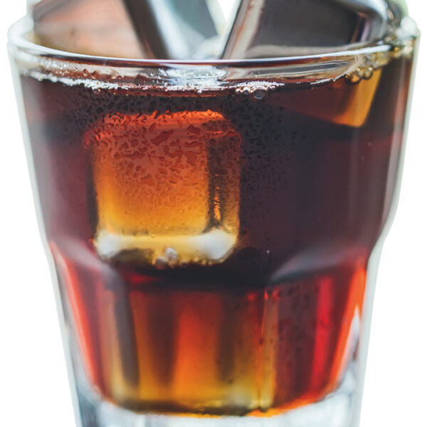 Metaltex Herbruikbare IJsblokjes Set - Roestvrij Staal 4 Stuks