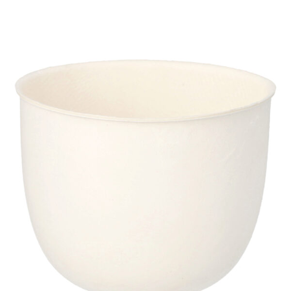 PAPSTAR Suikerriet kommen rond 175 ml, composteerbaar, 10 stuks