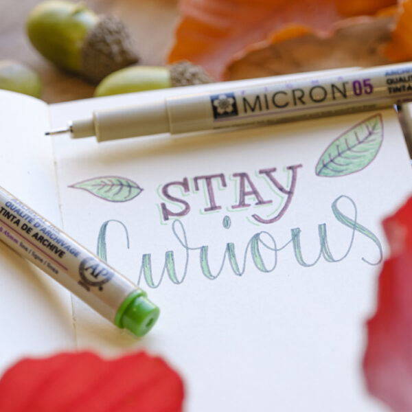 SAKURA PIGMA MICRON fineliner 0,45mm aardkleuren 6 stuks