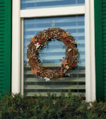 3M Command buitenhaken transparant kunststof maat M