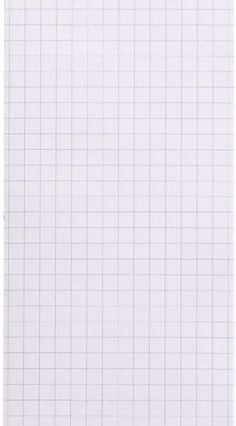 RHODIA Notitieblok No. 8, 74 x 210 mm, geruit, oranje