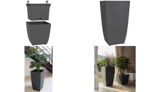 EDA Plantzuil BASALT Diva, hoogte: 782 mm, antraciet