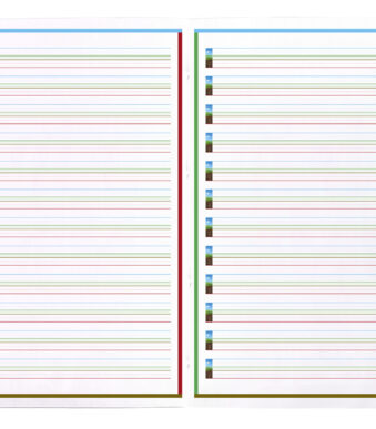 Clairefontaine DYS schrift, A4, 48 pagina's