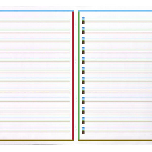 Clairefontaine DYS schrift, A4, 48 pagina's