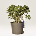 AVERY Zweckform ophanglusjes, folie, 160 x 17 mm, wit