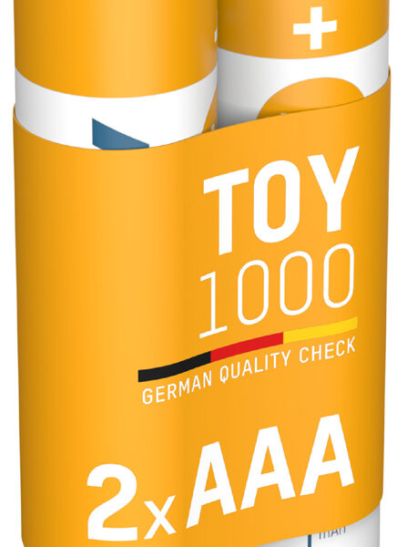 ANSMANN Toy NiMH Oplaadbare Batterijen AAA 1000 mAh, 2 stuks