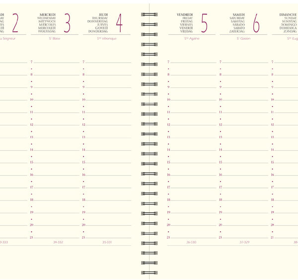 EXACOMPTA Bureauagenda SAD 18S VERONE 2025/2026, 16 maanden