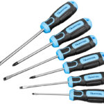 QUANTOOL schroevendraaier set 6-delig, zwart/blauw