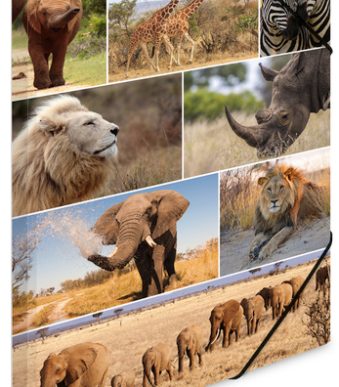 HERMA hoekspanmap ´Afrika Dieren´, van karton, DIN A3