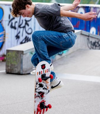 SCHILDKRÖT Skateboard Grinder 31' Wolf