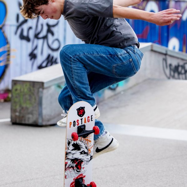 SCHILDKRÖT Skateboard Grinder 31' Wolf